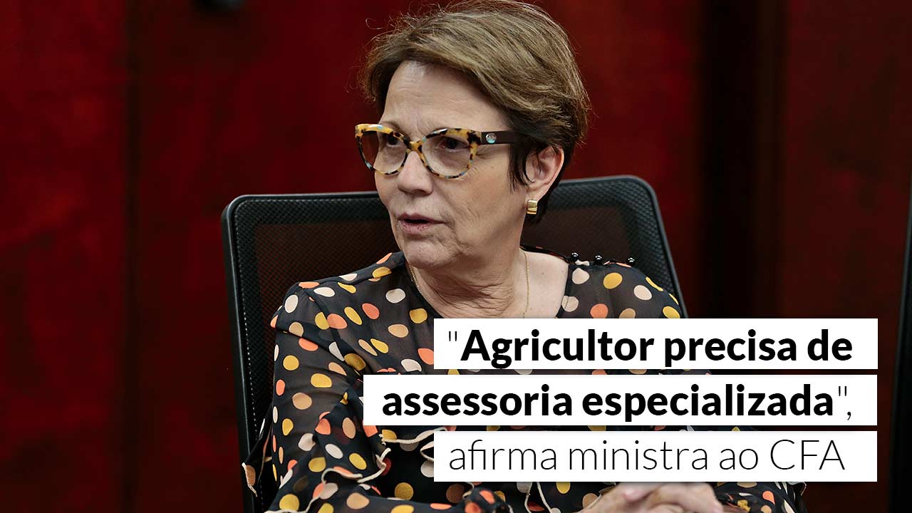 You are currently viewing Cotada para a presidência da Câmara, Tereza Cristina permanece no ministério
